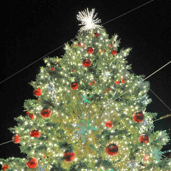 Sundance Square Christmas TreeLighting Celebration