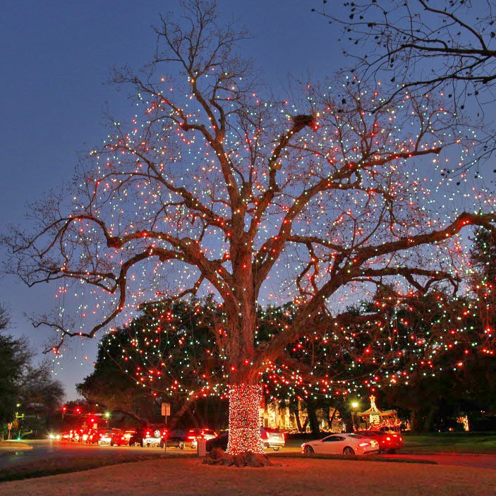 Highland Park Christmas Tree Lighting Ceremony