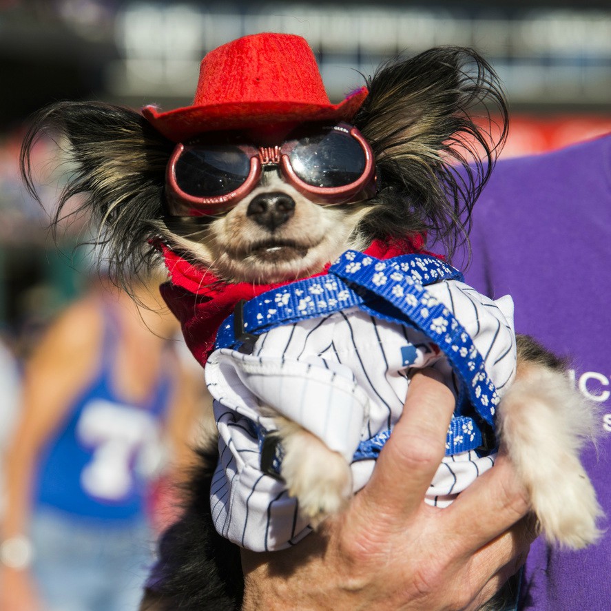 BringFido to Bark at the Park with the Texas Rangers