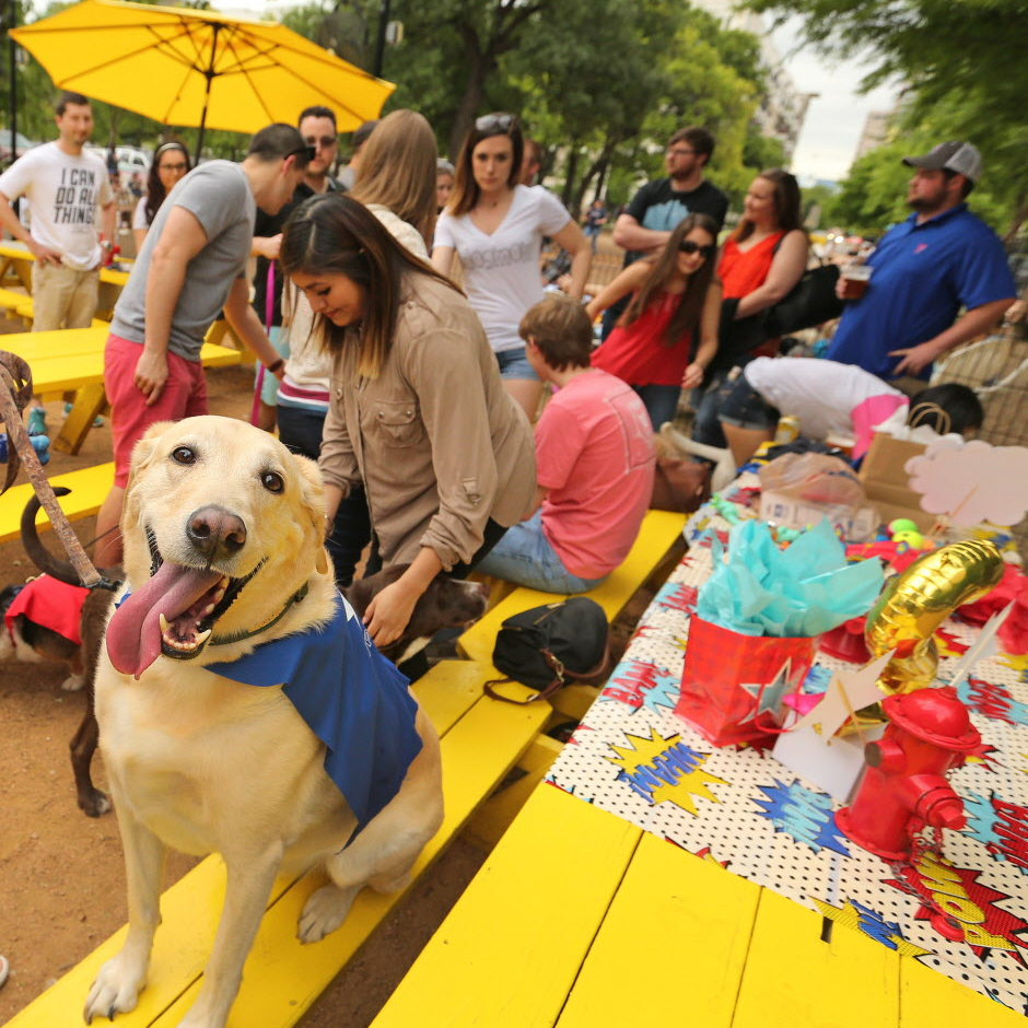 Mutts Canine Cantina (Fort Worth)