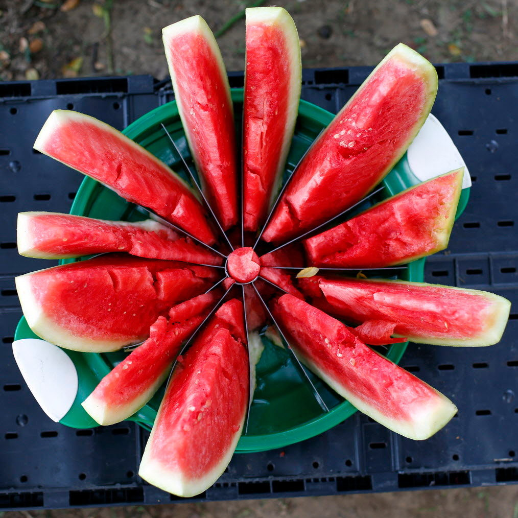 Watermelon Festival 